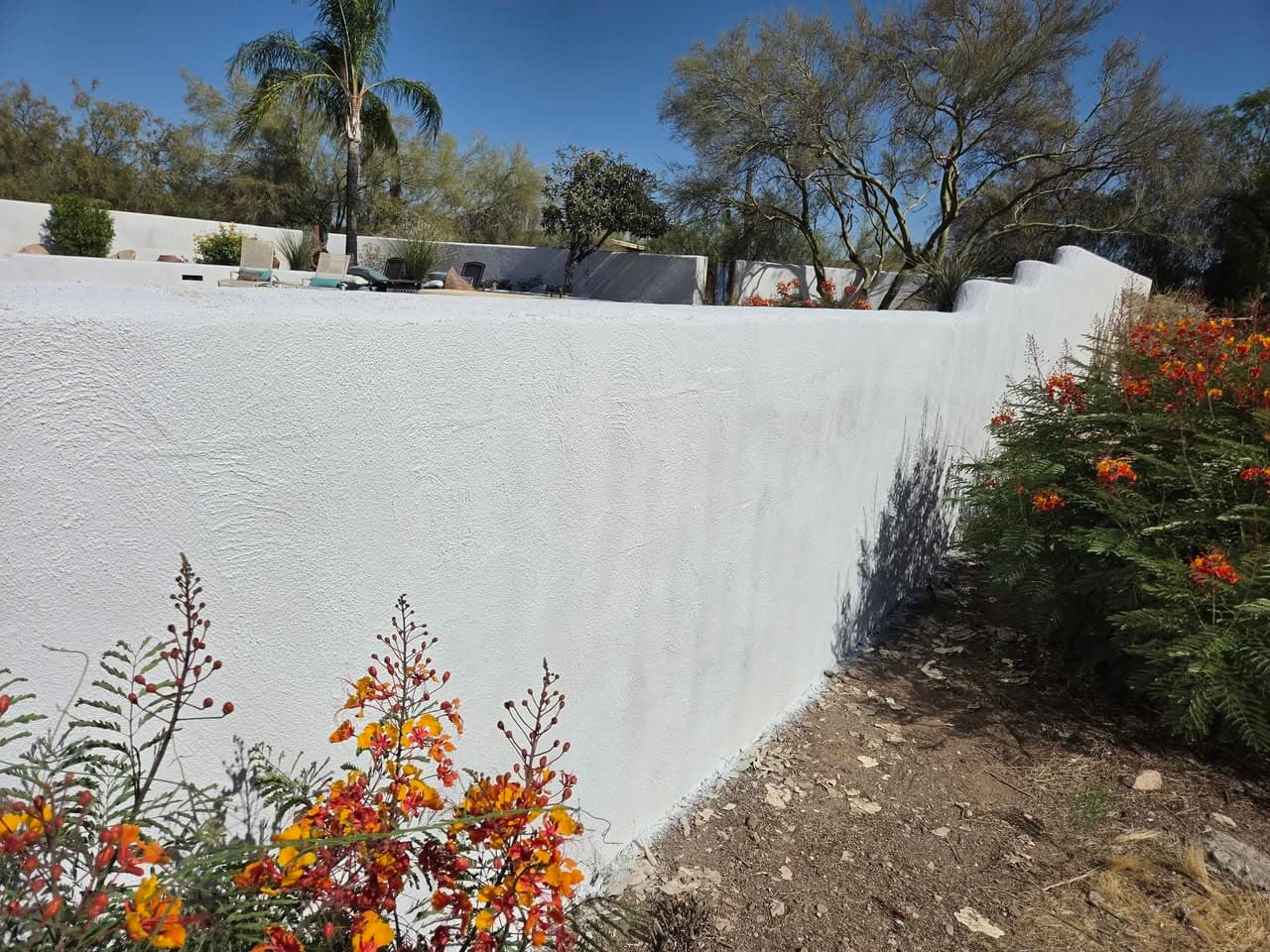 After: finished wall surface viewed along the landscaped side yard